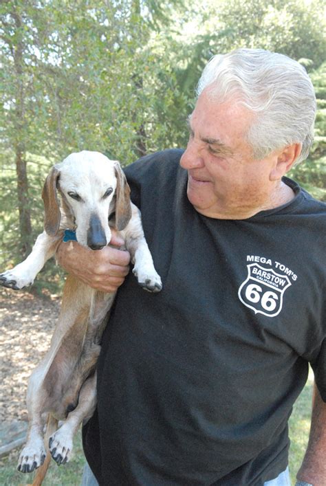 oldest dachshund in the world.